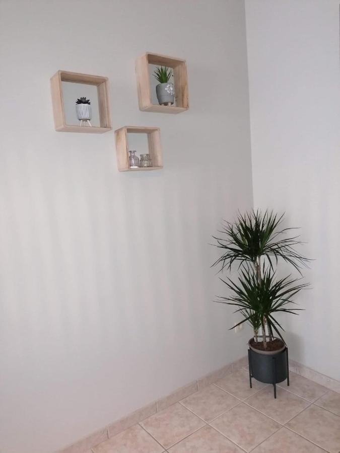 שרלרואה Superbe Appartement De 65M2 A 6061 Montignies-Sur-Sambre מראה חיצוני תמונה